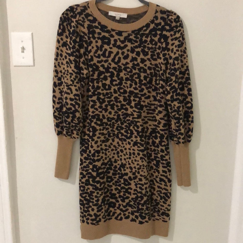 Loft Sweater Dress